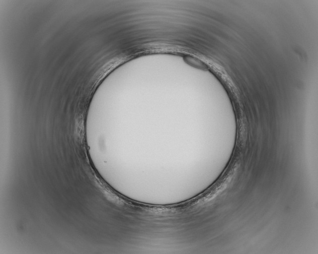X0000111030897200908061433