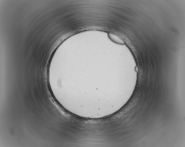 X0000111030898200908061433