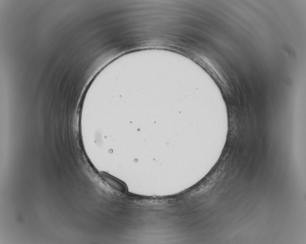 X0000111030900200908061433
