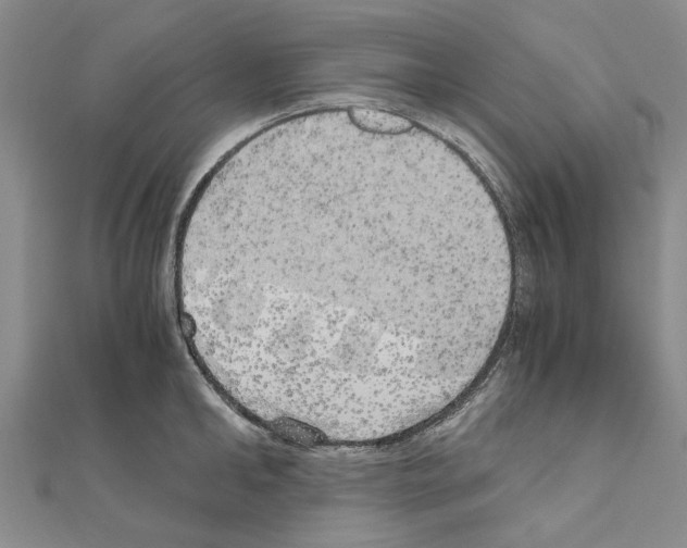 X0000111030902200908061433