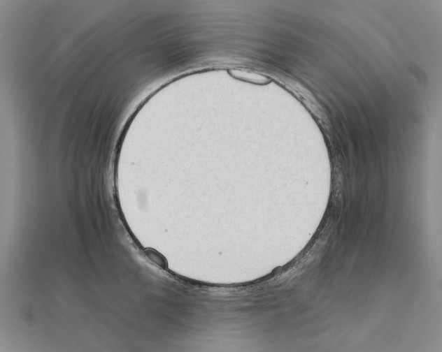 X0000111030904200908061433