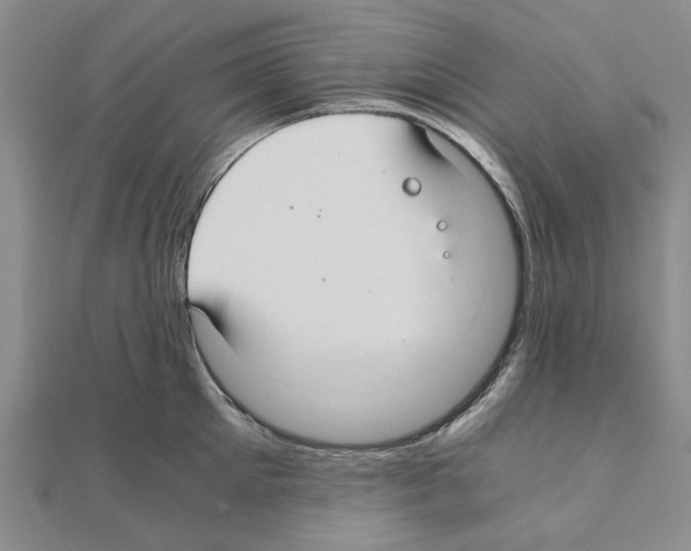 X0000111030905200908061433