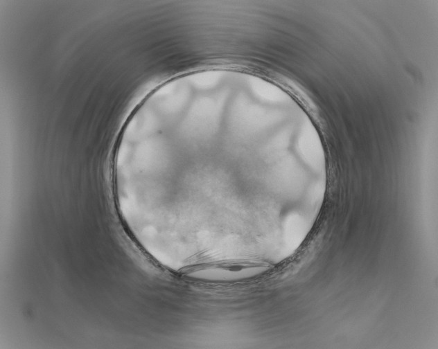 X0000111030907200908061433