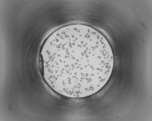 X0000111030910200908061433