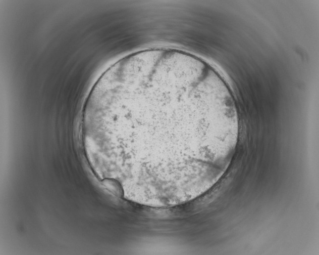 X0000111030911200908061433
