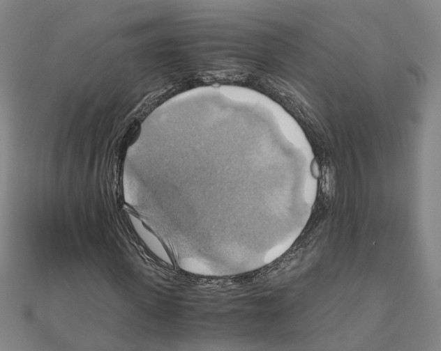 X0000111030915200908061432