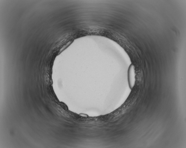 X0000111030916200908061432