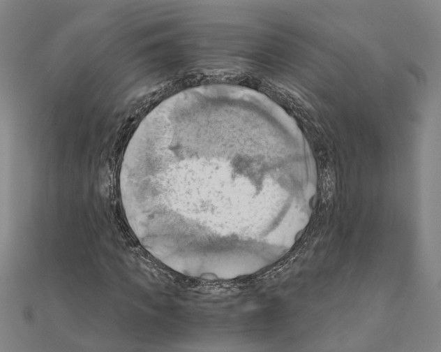 X0000111030917200908061432
