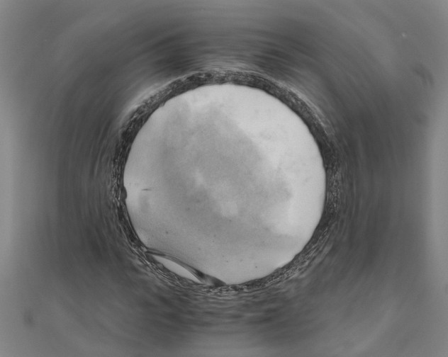 X0000111030919200908061432