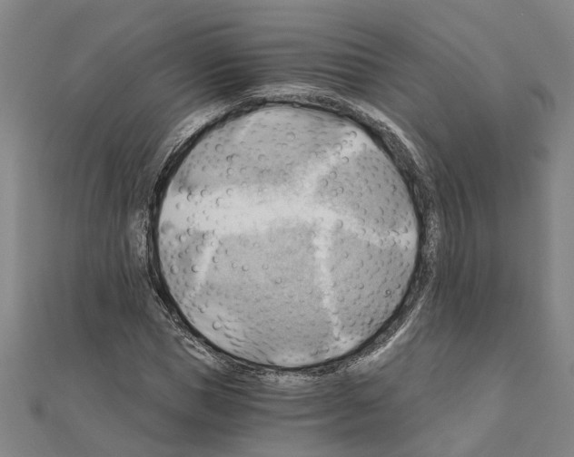 X0000111030921200908061432