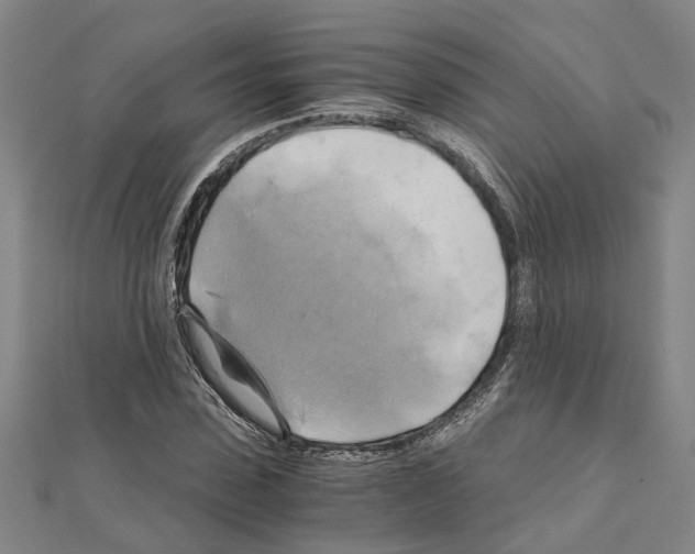 X0000111030923200908061432