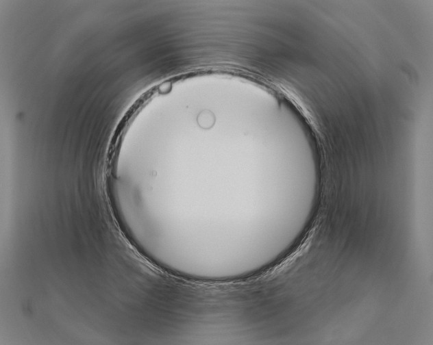 X0000111030924200908061432