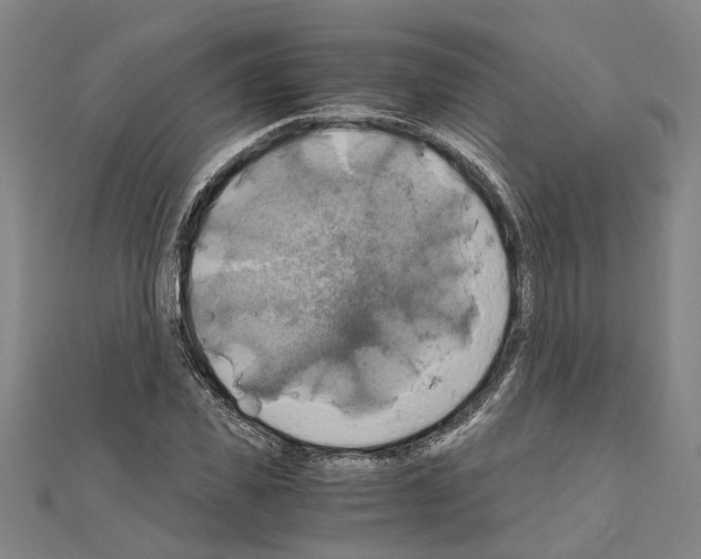 X0000111030925200908061432