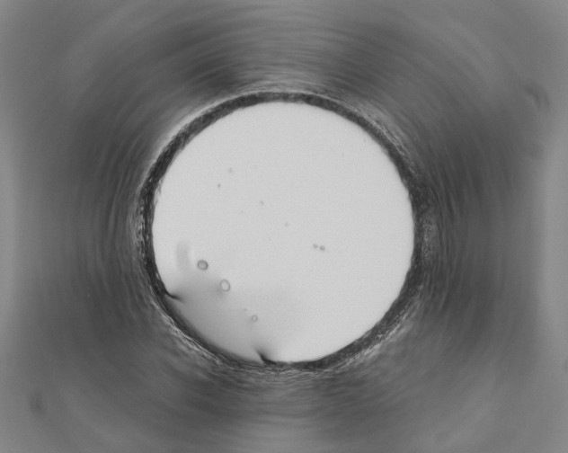 X0000111030926200908061432