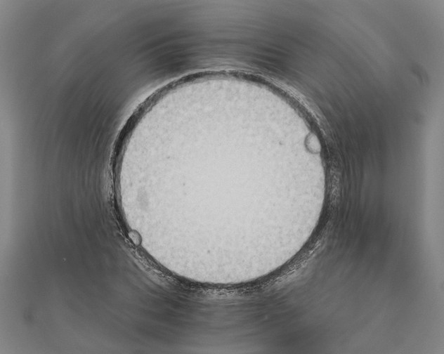 X0000111030927200908061432