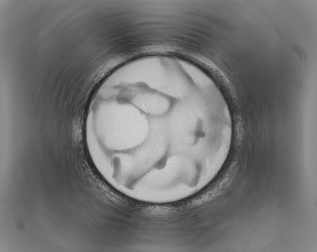 X0000111030929200908061432