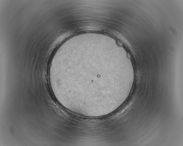X0000111030930200908061432