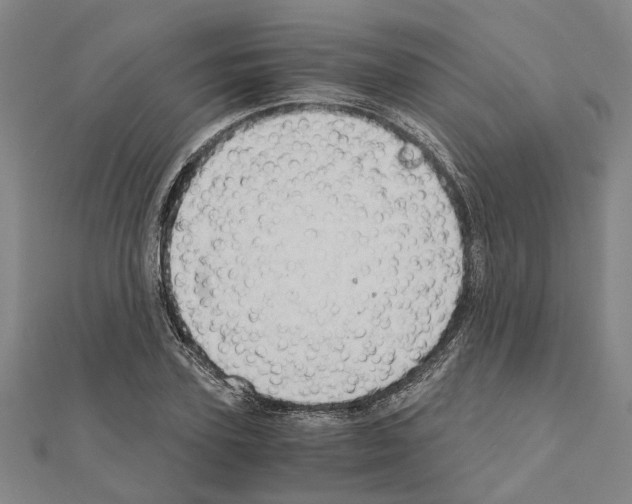 X0000111030931200908061432