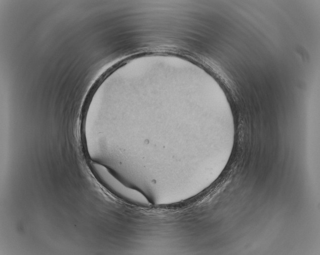 X0000111030932200908061432