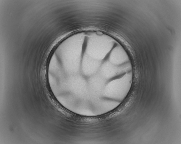 X0000111030933200908061432