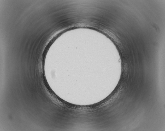 X0000111030934200908061432