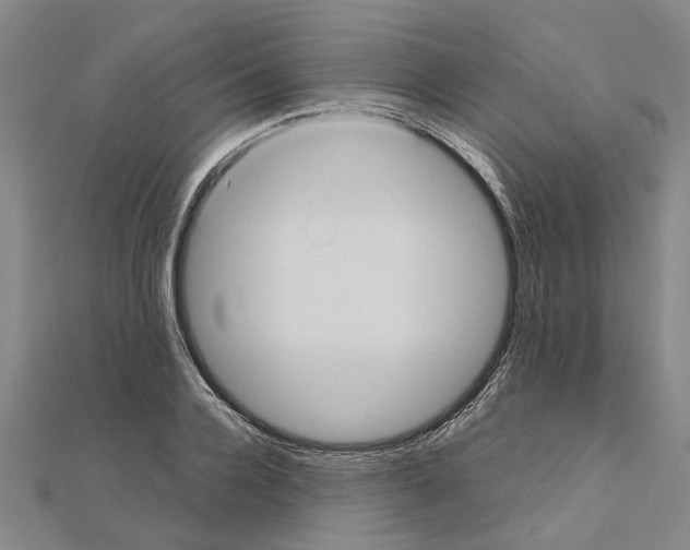 X0000111030936200908061432