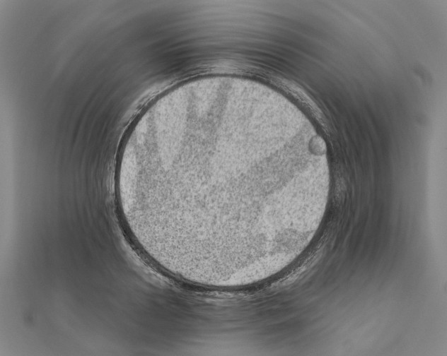 X0000111030938200908061432