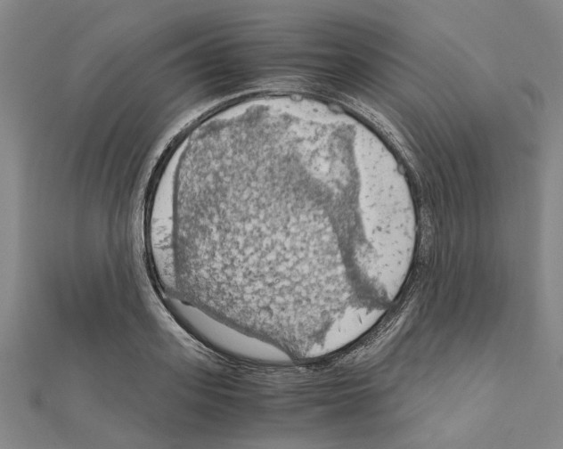 X0000111030939200908061432