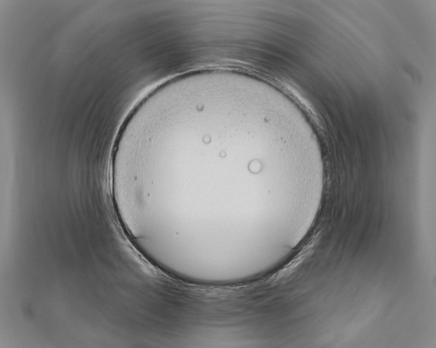 X0000111030940200908061432