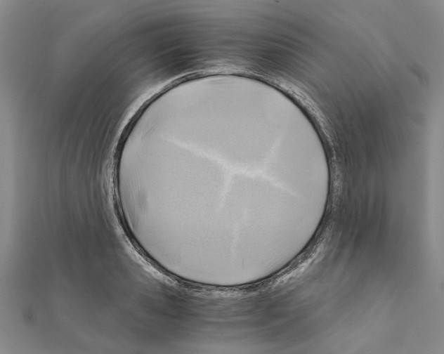 X0000111030941200908061432