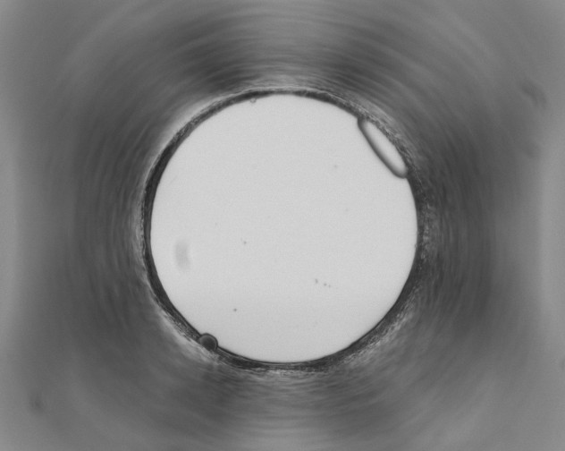 X0000111030942200908061432