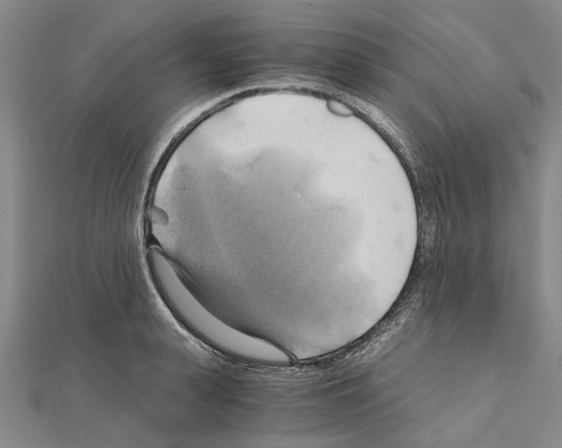 X0000111030943200908061433