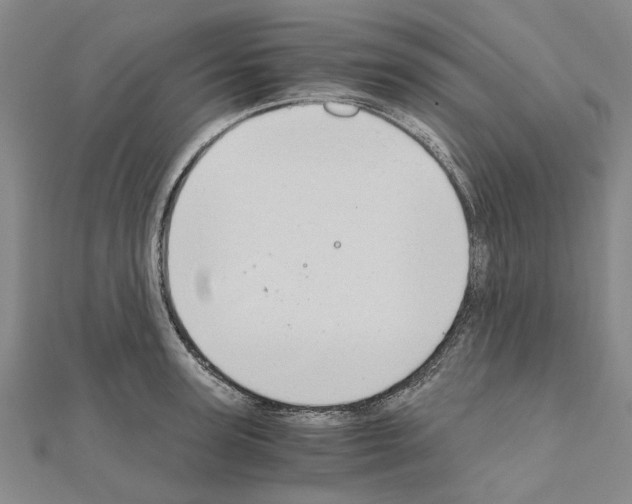 X0000111030947200908061433