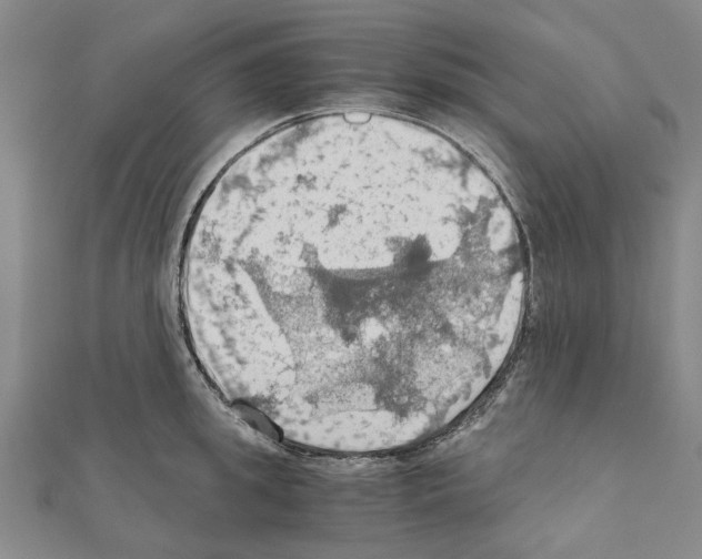 X0000111030949200908061433