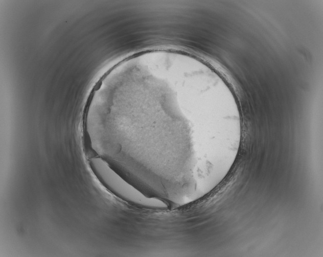 X0000111030951200908061433