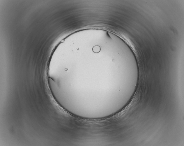 X0000111030952200908061433