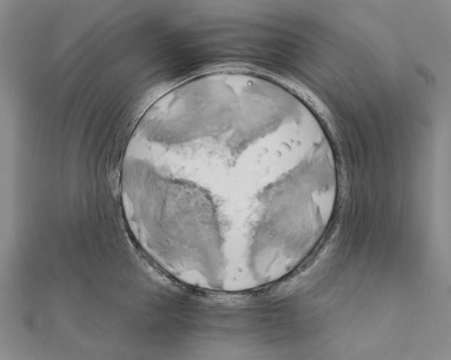 X0000111030953200908061433