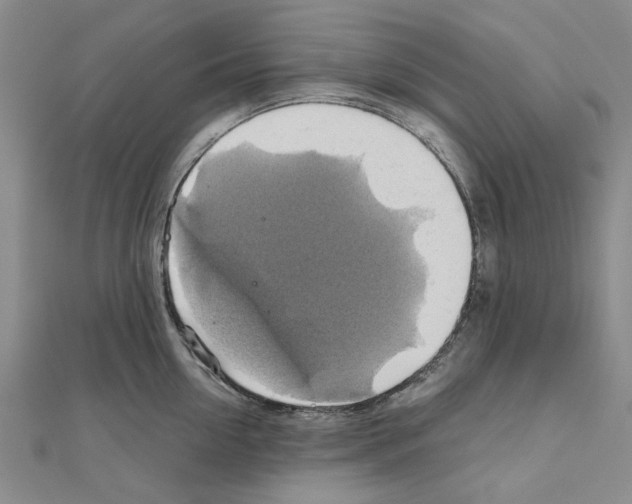 X0000111030954200908061433