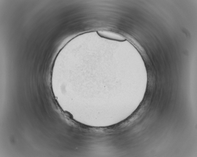 X0000111030956200908061433