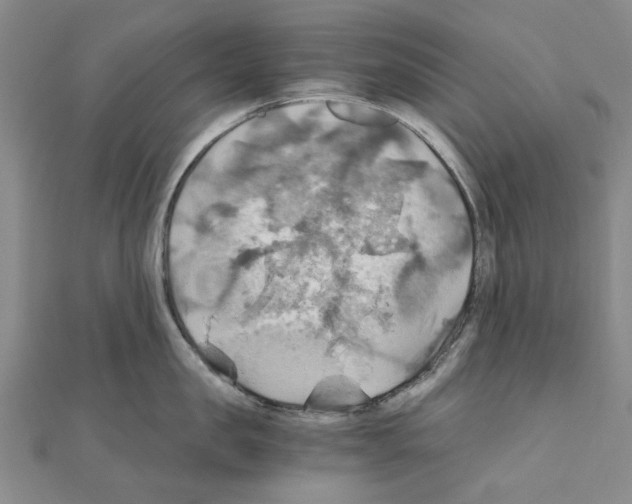 X0000111030957200908061433