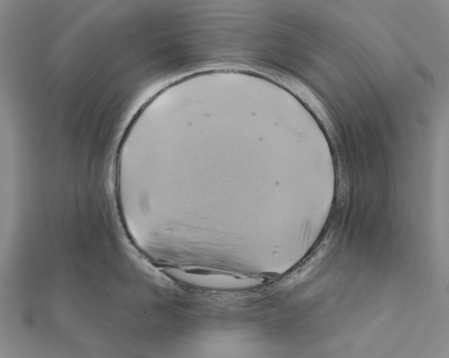 X0000111030958200908061433