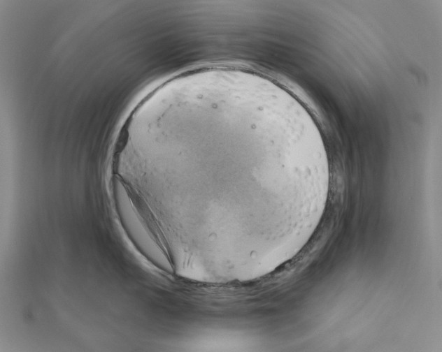X0000111030959200908061433