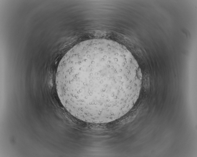 X0000111030962200908061432