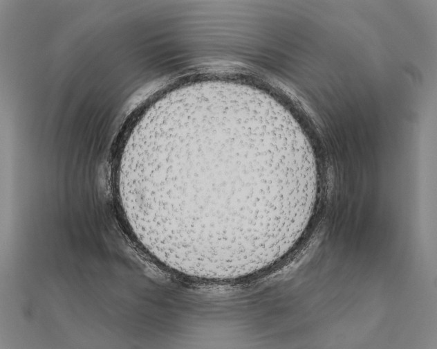 X0000111030970200908061432