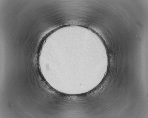 X0000111030971200908061432