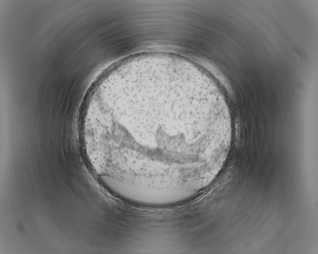 X0000111030972200908061432