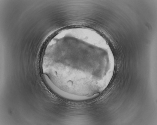 X0000111030975200908061432