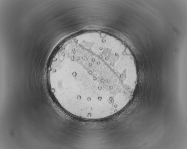 X0000111030976200908061432