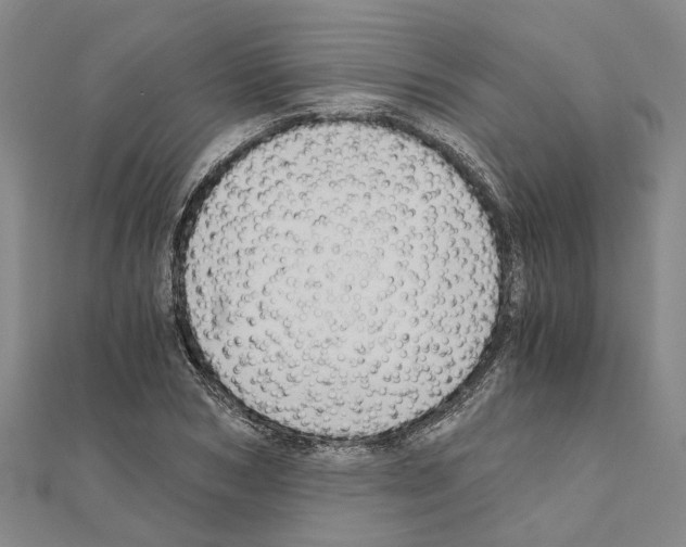 X0000111030978200908061432