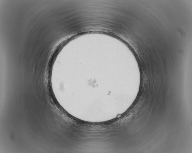 X0000111030979200908061432